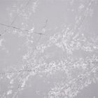 White Snowflake Pattern Grey Calacatta Quartz Stone 3000*1500MM